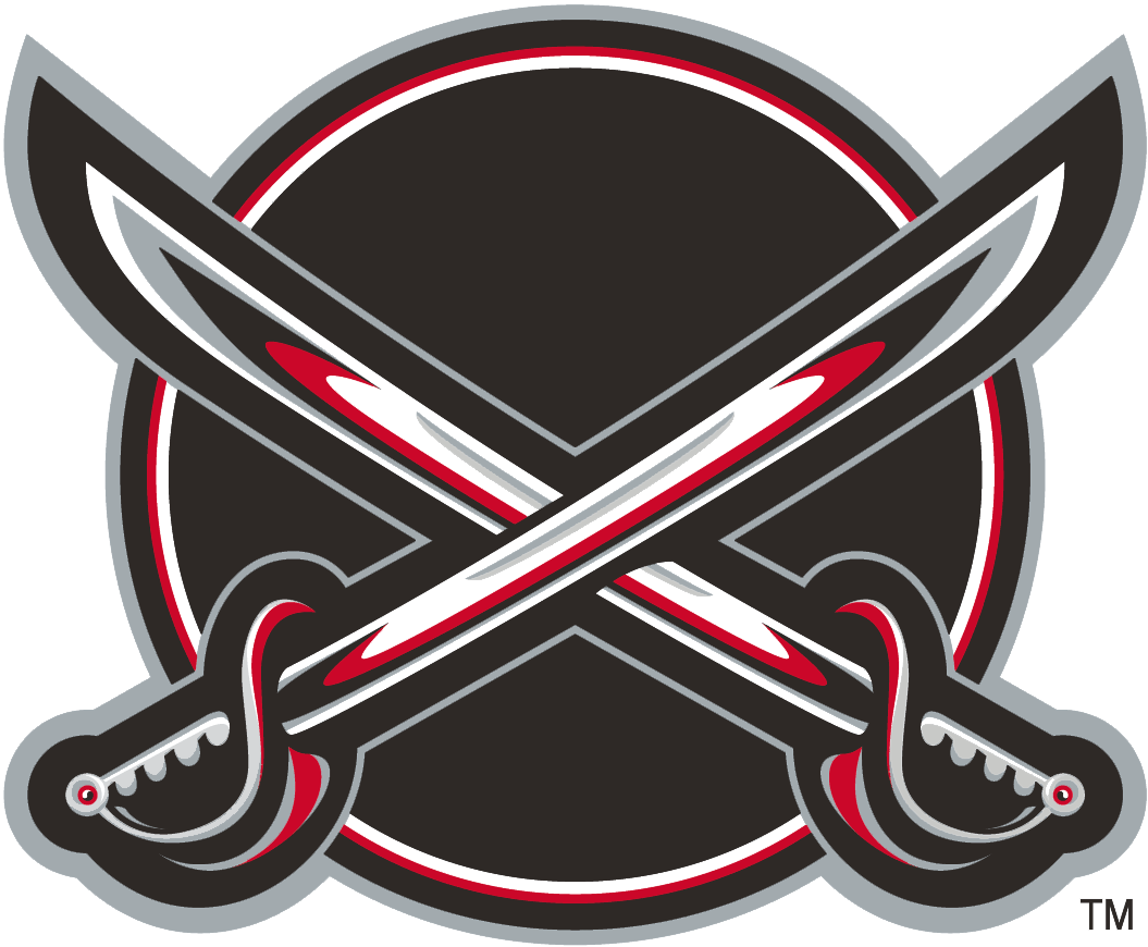 Buffalo Sabres 2000 01-2005 06 Alternate Logo cricut iron on